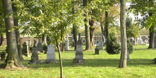 DSCN1420