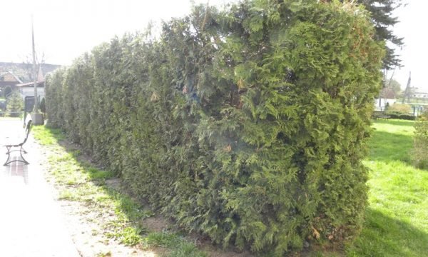 DSCN0165